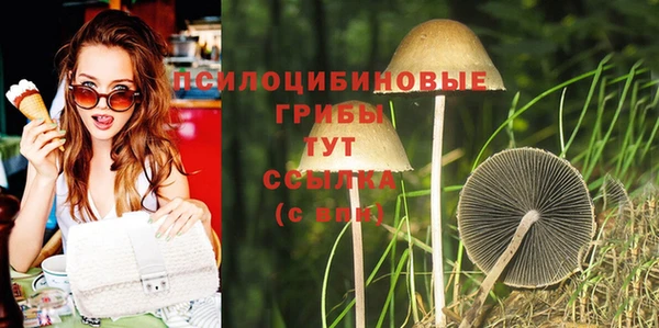 героин Вяземский