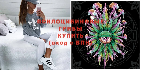 МДПВ Горнозаводск