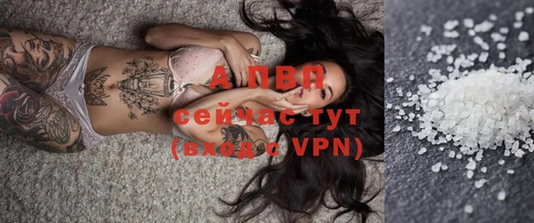 apvp Горняк