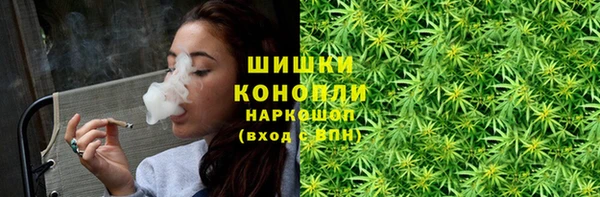 МДПВ Горнозаводск