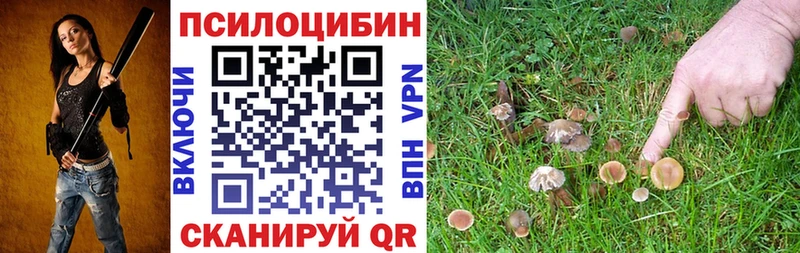 Галлюциногенные грибы мухоморы  как найти наркотики  Звенигово 